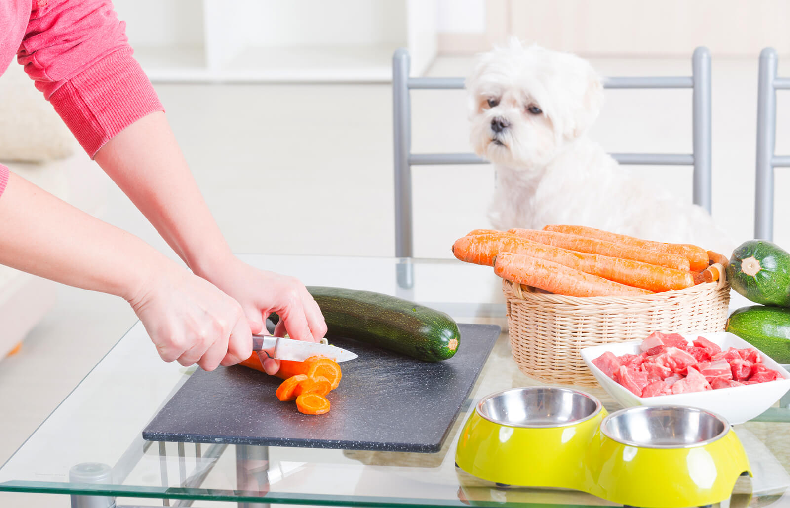 Homemade Dog Food: Is It Healthy to Cook for Your Dog?