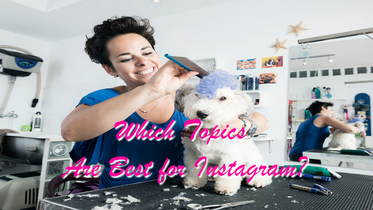 Which Topics Are Best for Instagram?
